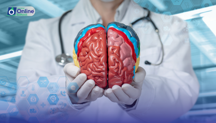 Lesson 06: Brain Anatomy and Functions